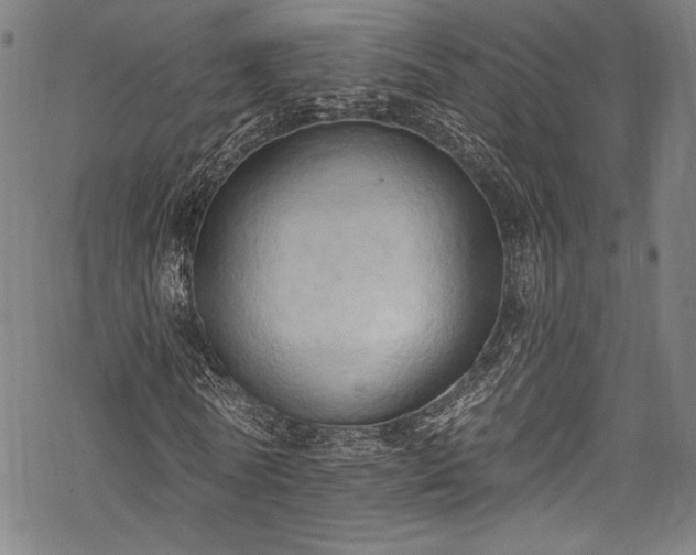 X0000068740770200605051450