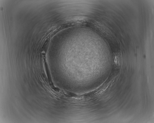 X0000068740771200605051450