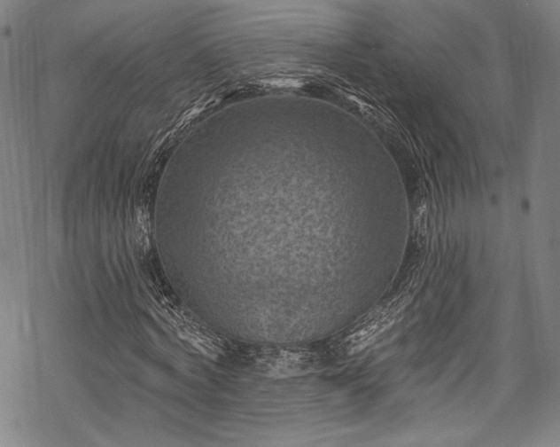 X0000068740772200605051450