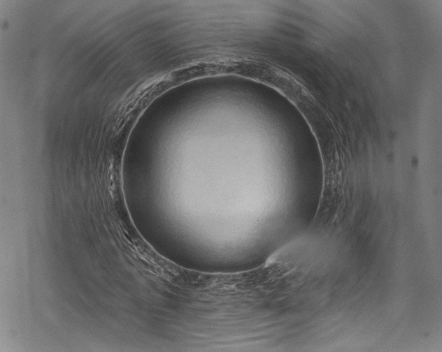 X0000068740773200605051450