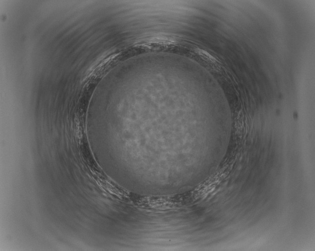 X0000068740774200605051450