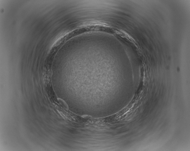 X0000068740775200605051450