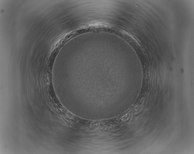 X0000068740776200605051450