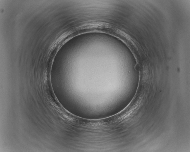 X0000068740778200605051450