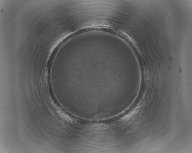 X0000068740779200605051450