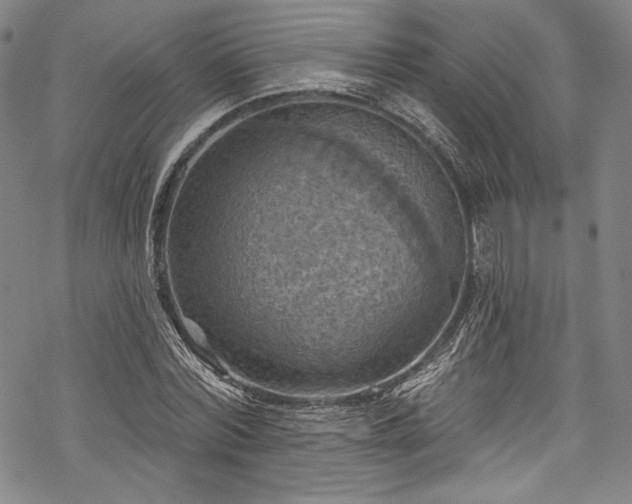 X0000068740780200605051450