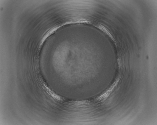 X0000068740781200605051450