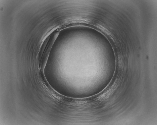 X0000068740782200605051450