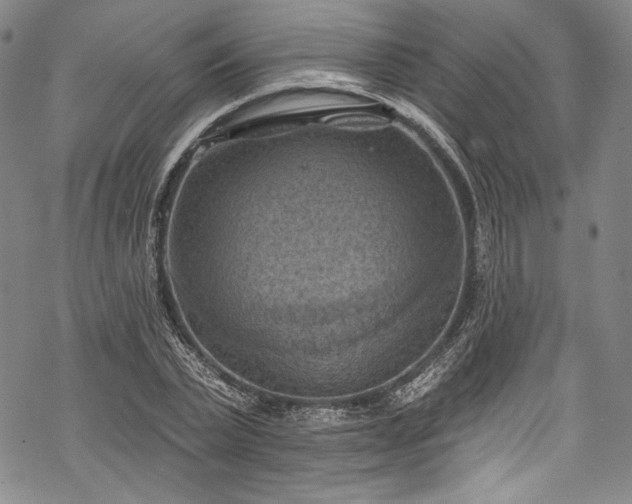 X0000068740783200605051450