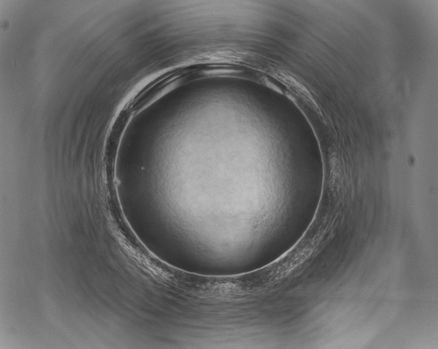 X0000068740784200605051450