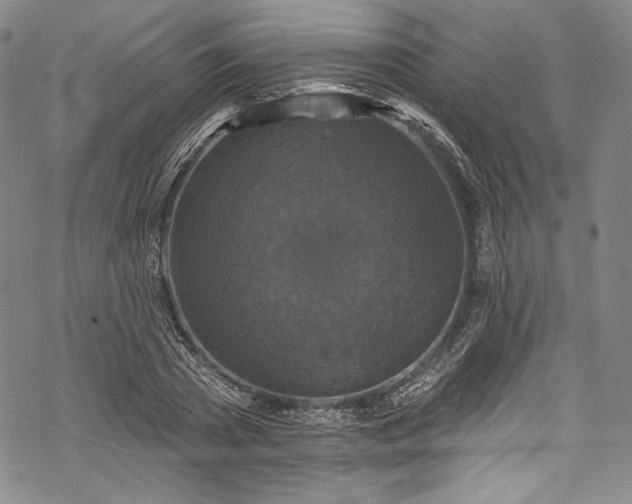 X0000068740785200605051450