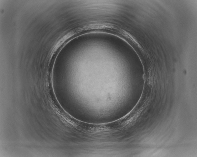 X0000068740786200605051450