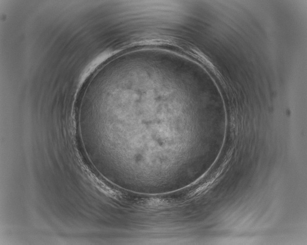 X0000068740787200605051450