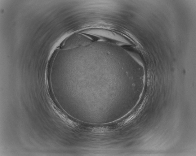 X0000068740788200605051450