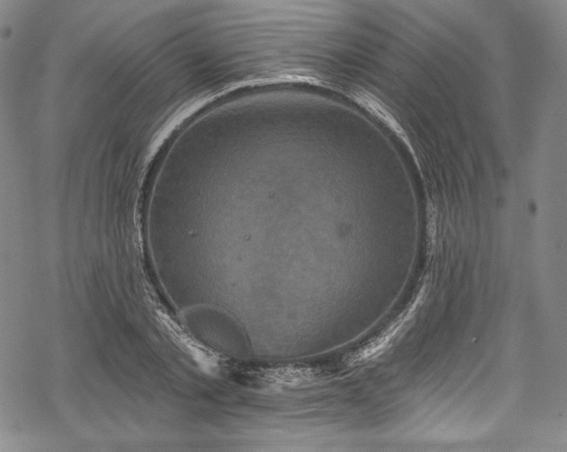 X0000068740789200605051450