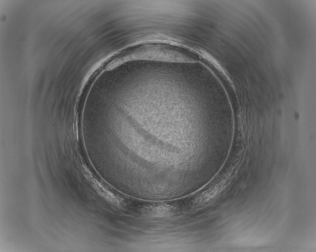 X0000068740791200605051450