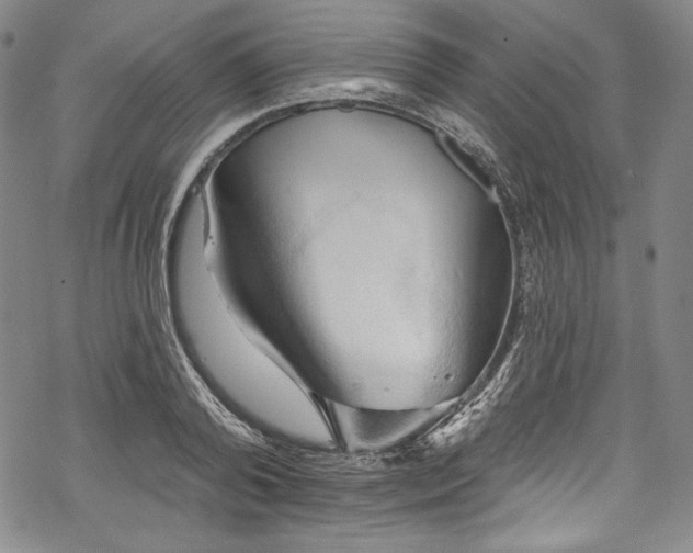 X0000068740792200605051450