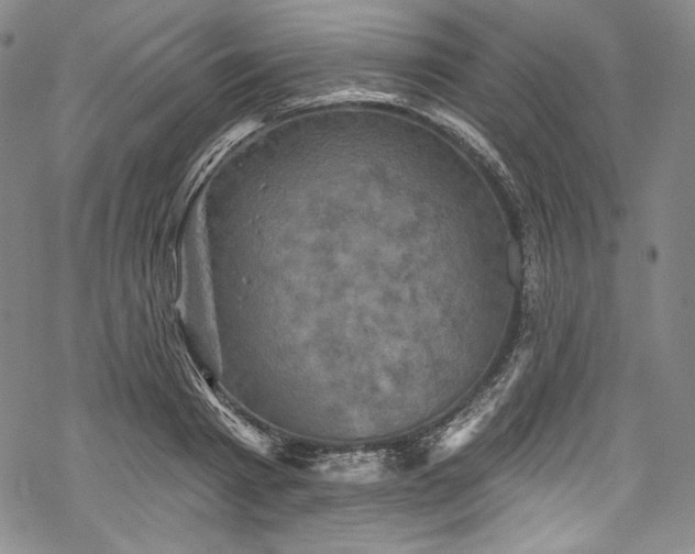 X0000068740793200605051450