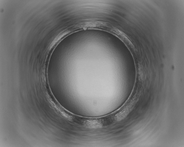 X0000068740794200605051450