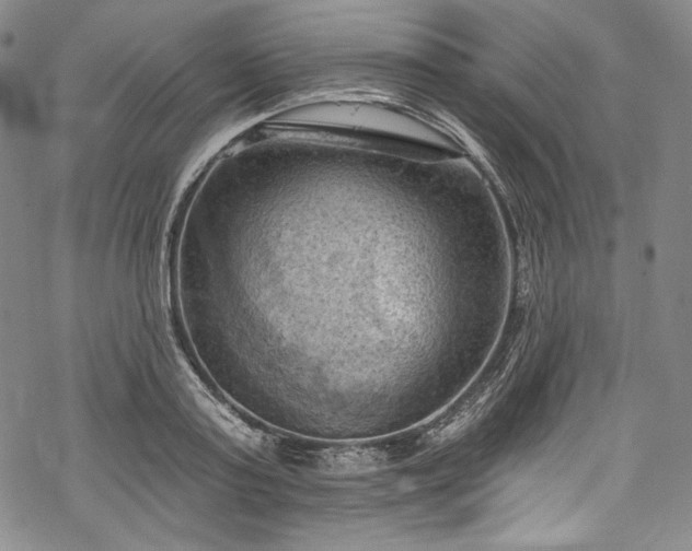 X0000068740795200605051450