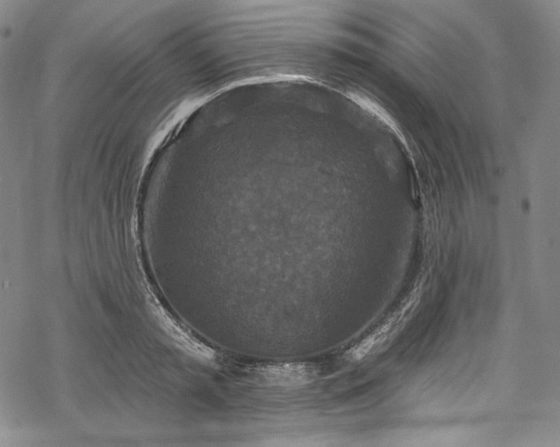 X0000068740797200605051450