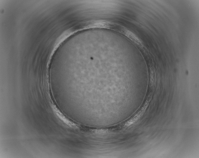 X0000068740800200605051450