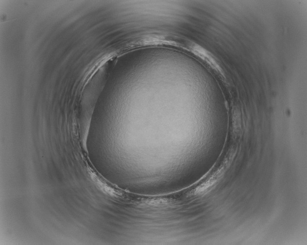 X0000068740801200605051449