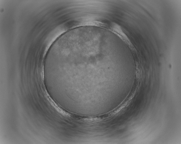 X0000068740804200605051449