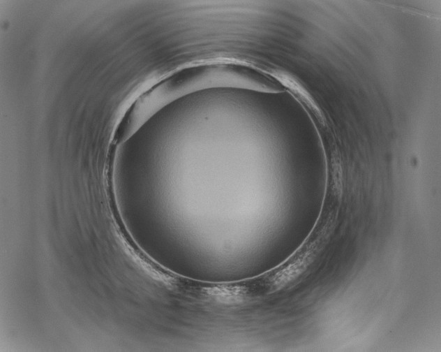 X0000068740805200605051449