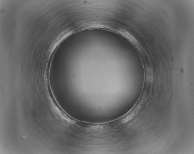 X0000068740806200605051449