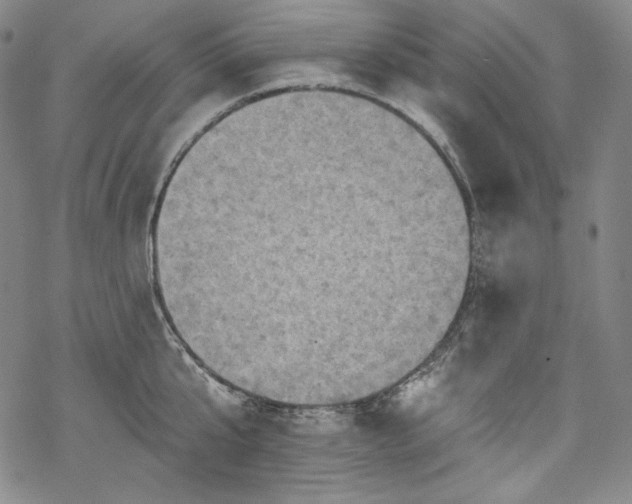 X0000068740807200605051449