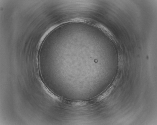 X0000068740808200605051449