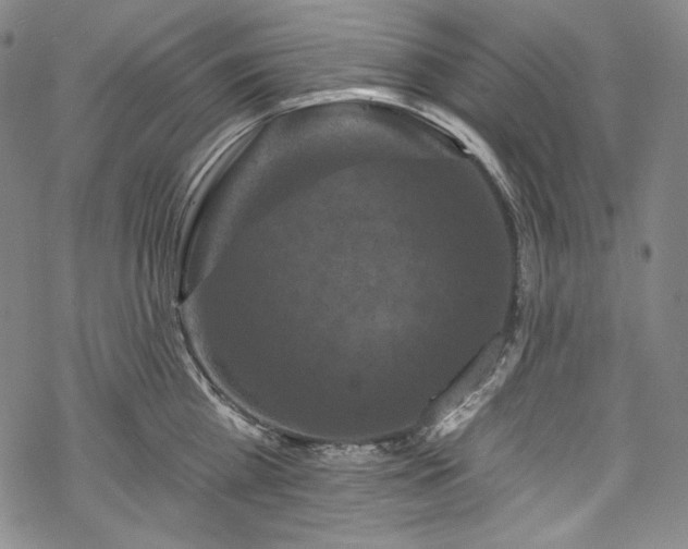 X0000068740809200605051449