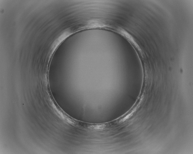 X0000068740810200605051449