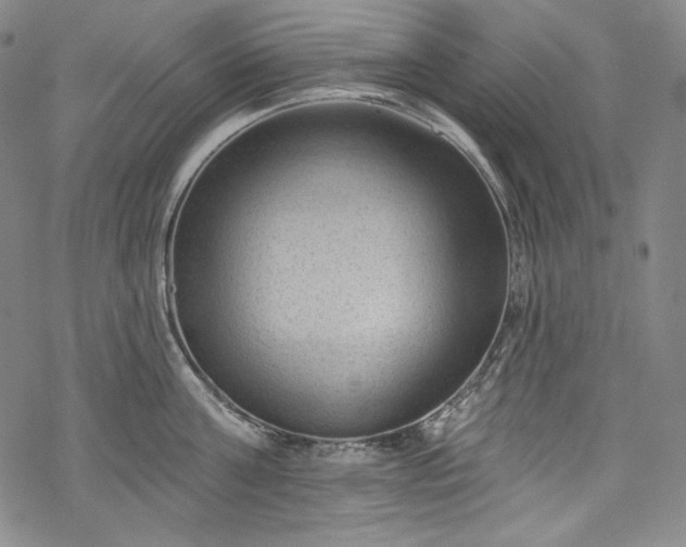 X0000068740811200605051449