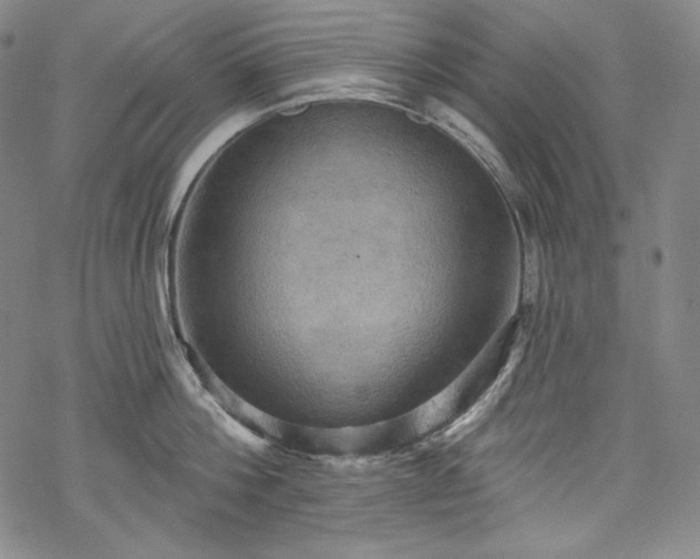 X0000068740812200605051449