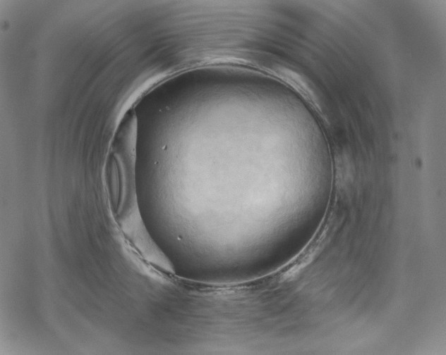 X0000068740814200605051449