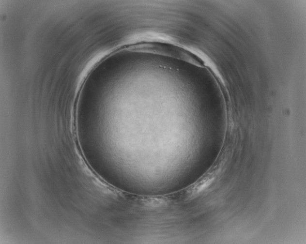 X0000068740815200605051449