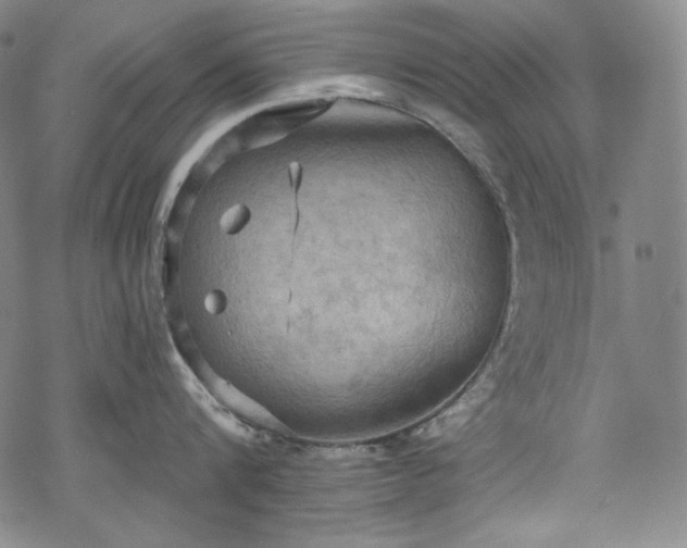 X0000068740816200605051449