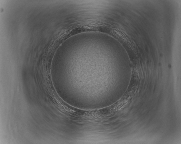 X0000068740817200605051448