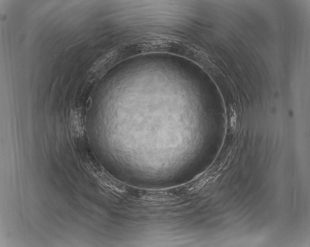 X0000068740819200605051449