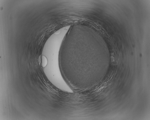 X0000068740820200605051449