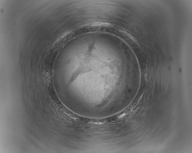 X0000068740821200605051449