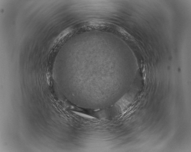 X0000068740822200605051449