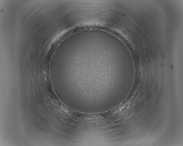 X0000068740823200605051449