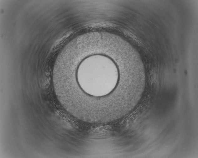 X0000068740824200605051449