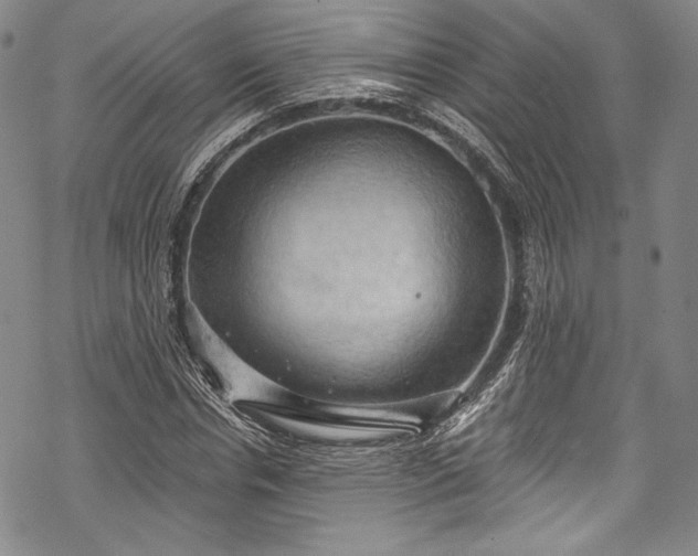 X0000068740826200605051449