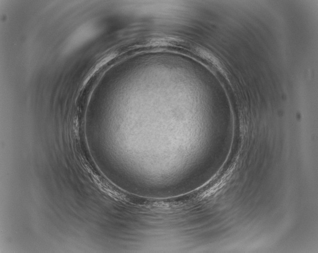 X0000068740827200605051449