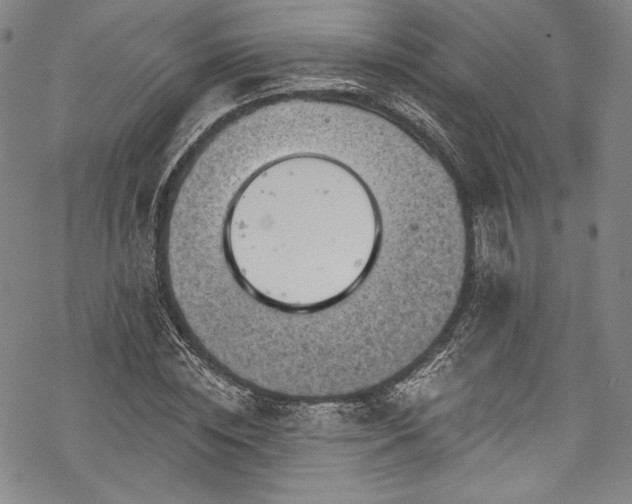 X0000068740828200605051449