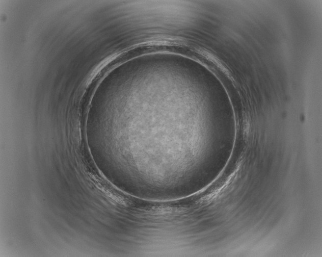 X0000068740829200605051449